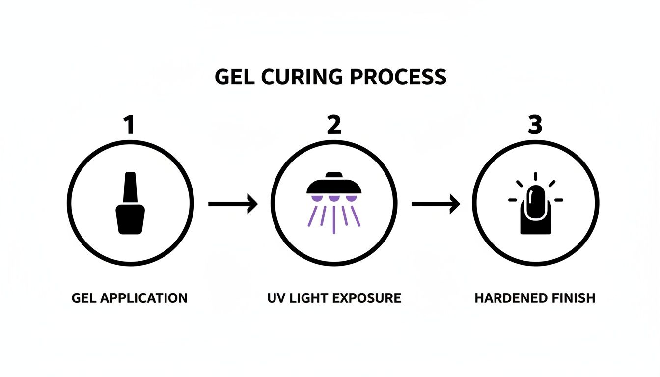 Illustration depicting the three steps of the gel curing process: application, UV light exposure, and hardened finish.