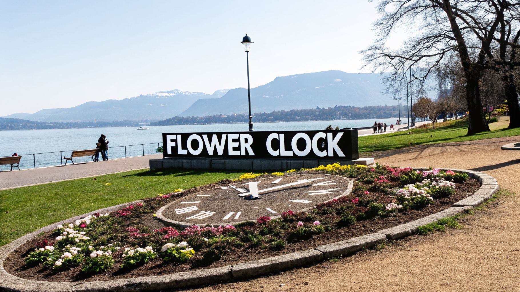 A scenic view of Geneva's Flower Clock garden by the lake, with mountains in the background.