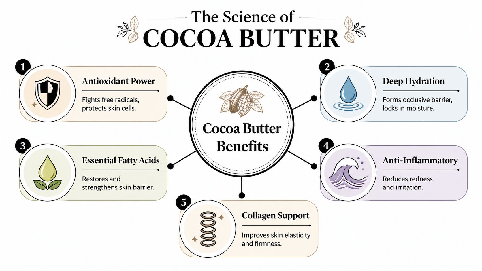 An educational infographic titled The Science of Cocoa Butter detailing its five primary skin care benefits.