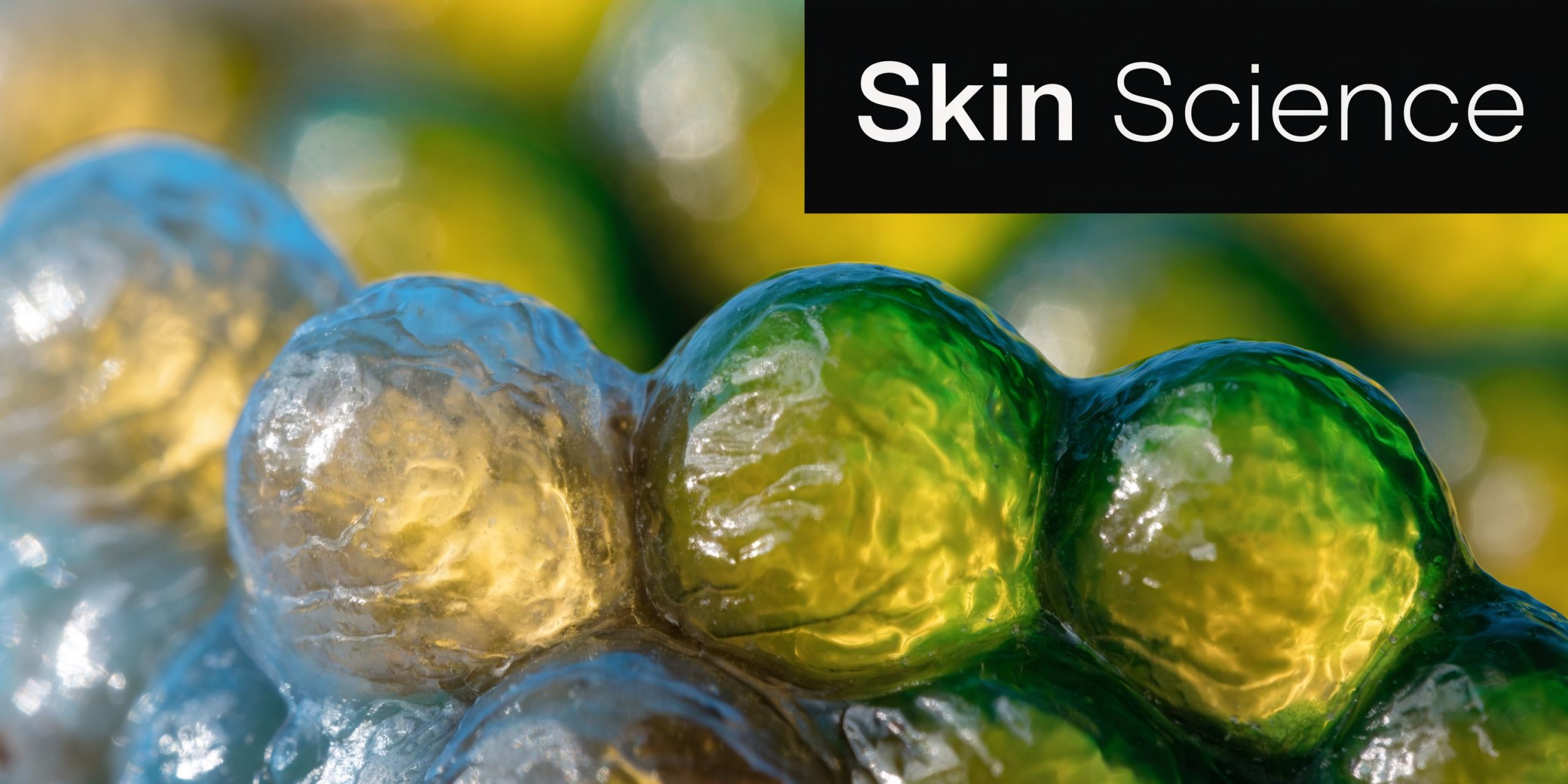 A close up view of colorful, semi-transparent cellular structures resembling skin layers under a microscope.