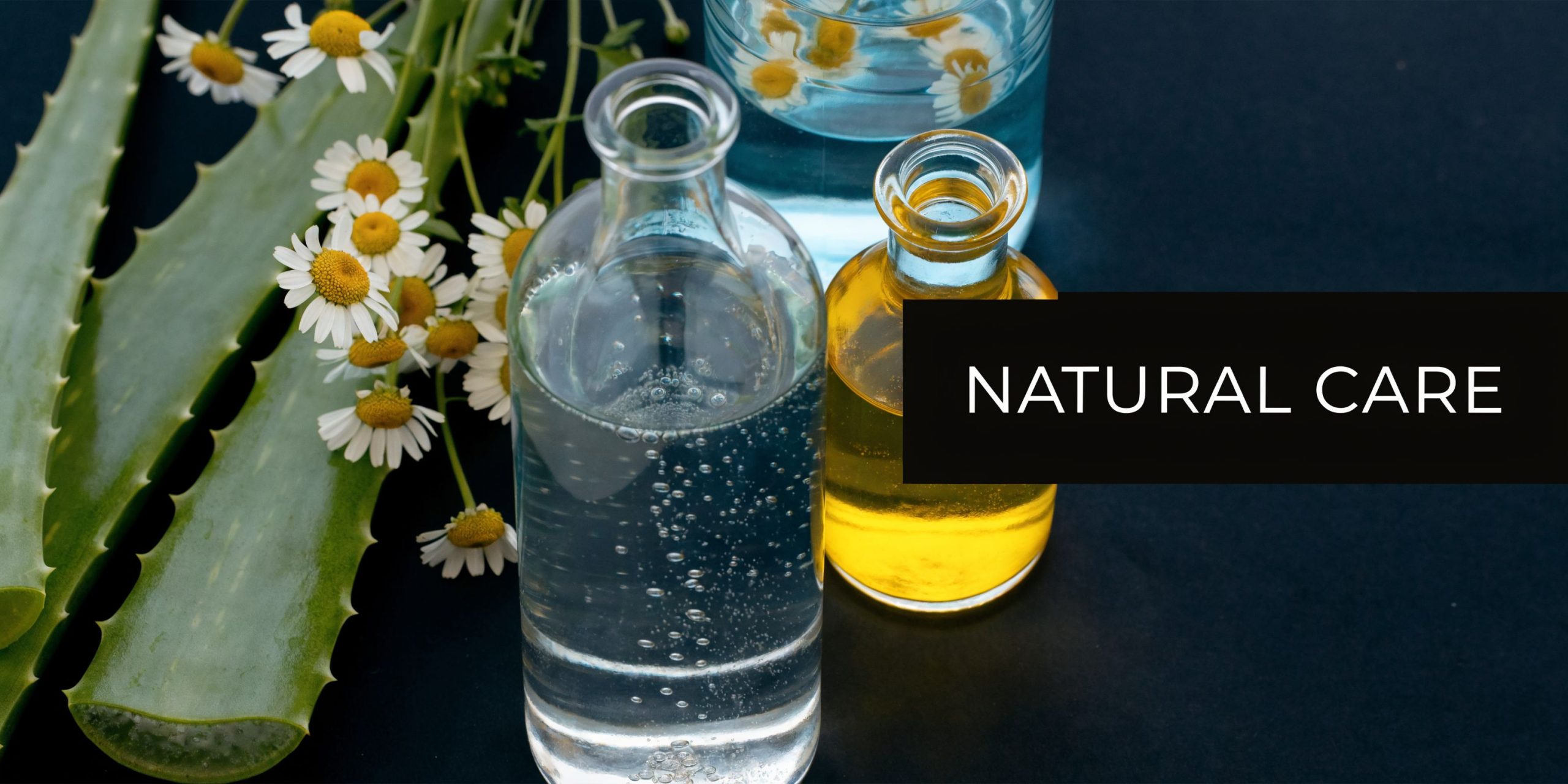 A selection of natural beauty ingredients including aloe vera, chamomile flowers, and glass bottles of skincare liquids.