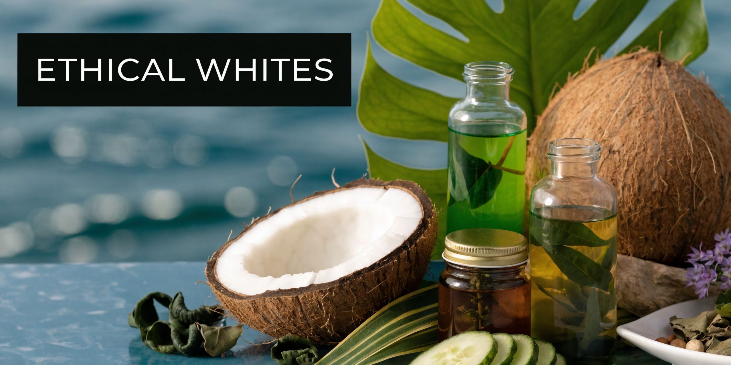 Natural beauty products featuring coconut, cucumber slices, and essential oils placed against a scenic ocean backdrop.