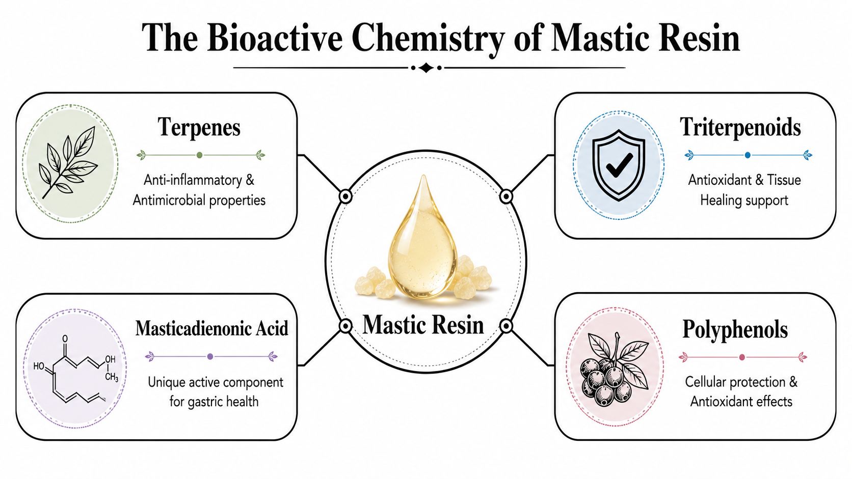 An infographic showing the bioactive chemistry components of mastic resin including terpenes, triterpenoids, masticadienonic acid, and polyphenols.