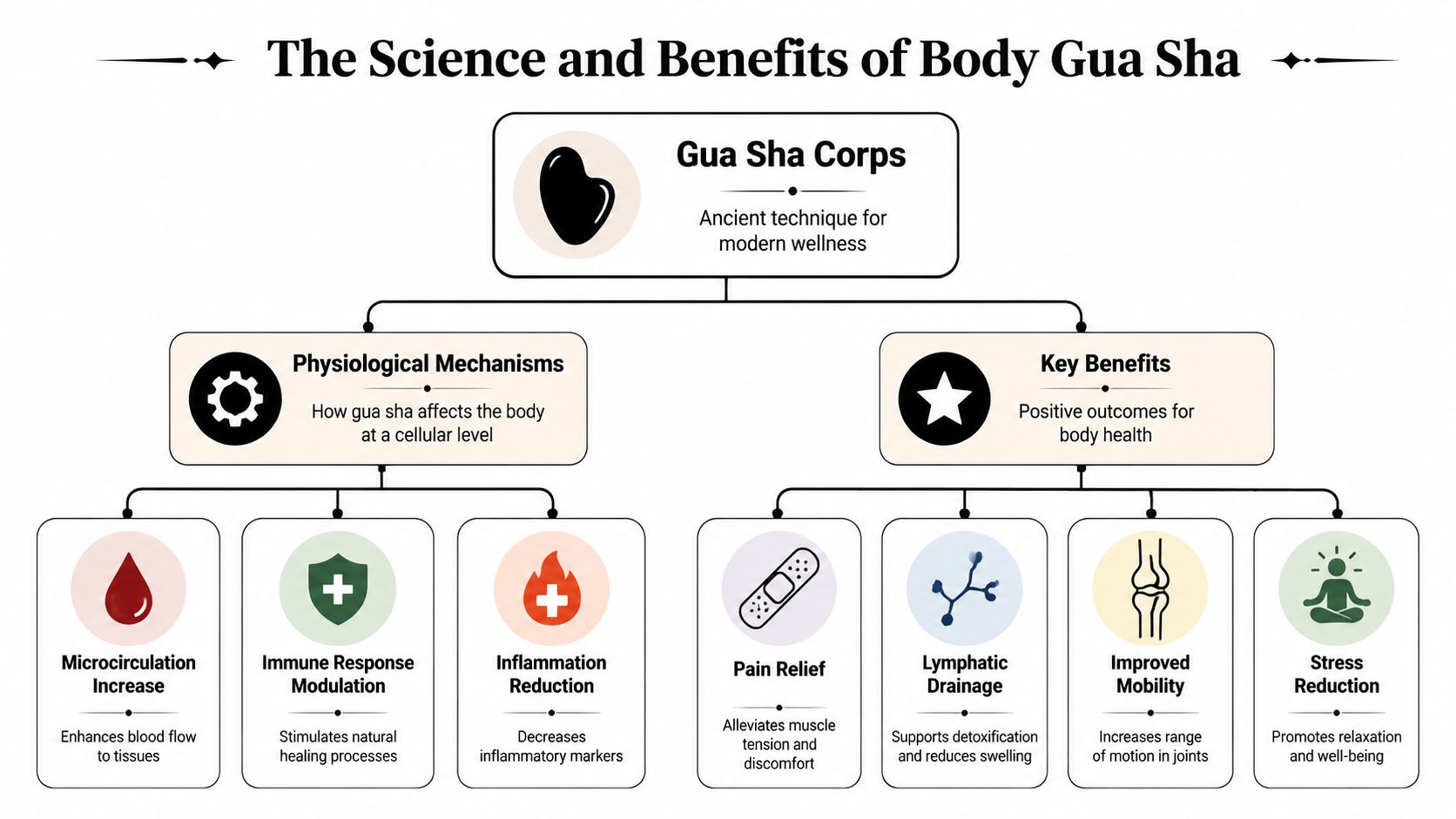 A diagram illustrating the science and benefits of body Gua Sha, including physiological mechanisms and health improvements.
