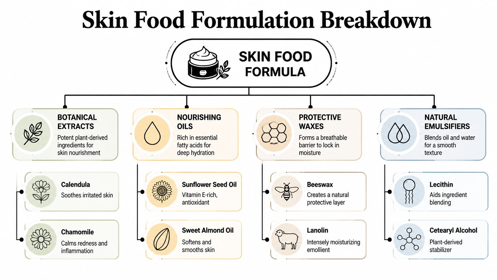 A diagram outlining the natural ingredients and formulation components used in Weleda Skin Food moisturizer.