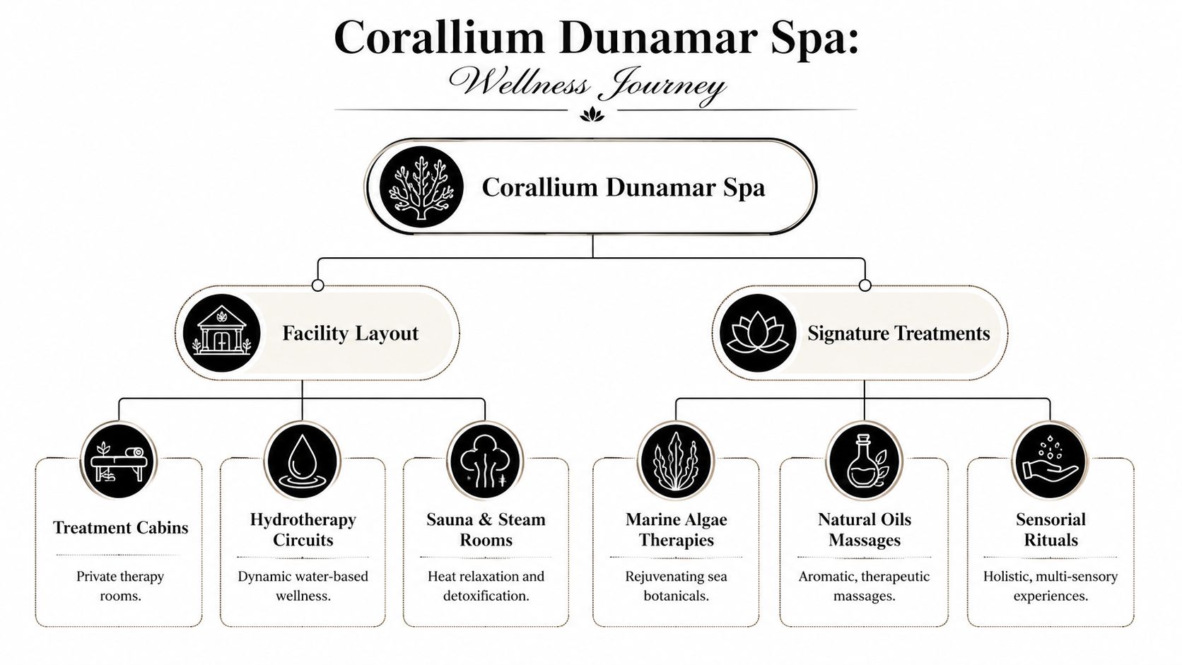 A structured flowchart showcasing the Corallium Dunamar Spa facility layout and various signature wellness treatment options.
