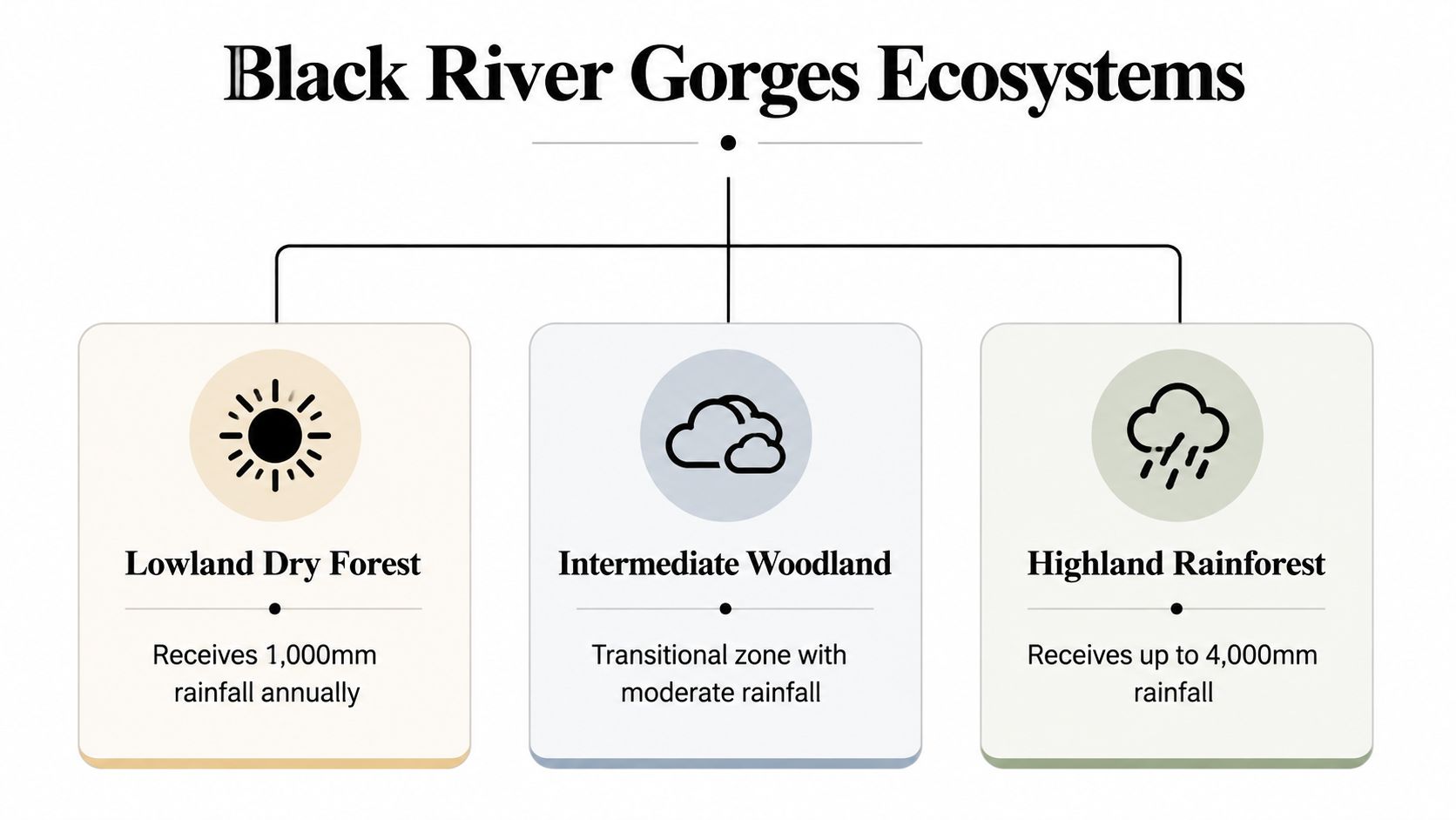 A diagram categorizing the three main ecosystems of Black River Gorges based on their rainfall levels.