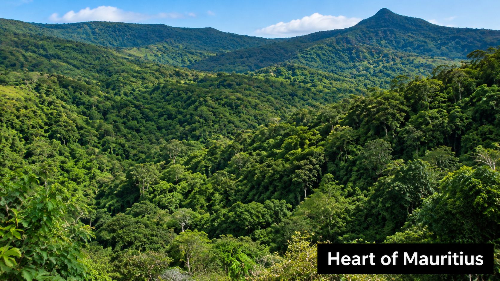 A wide aerial view of the lush green Black River Gorges National Park in Mauritius
