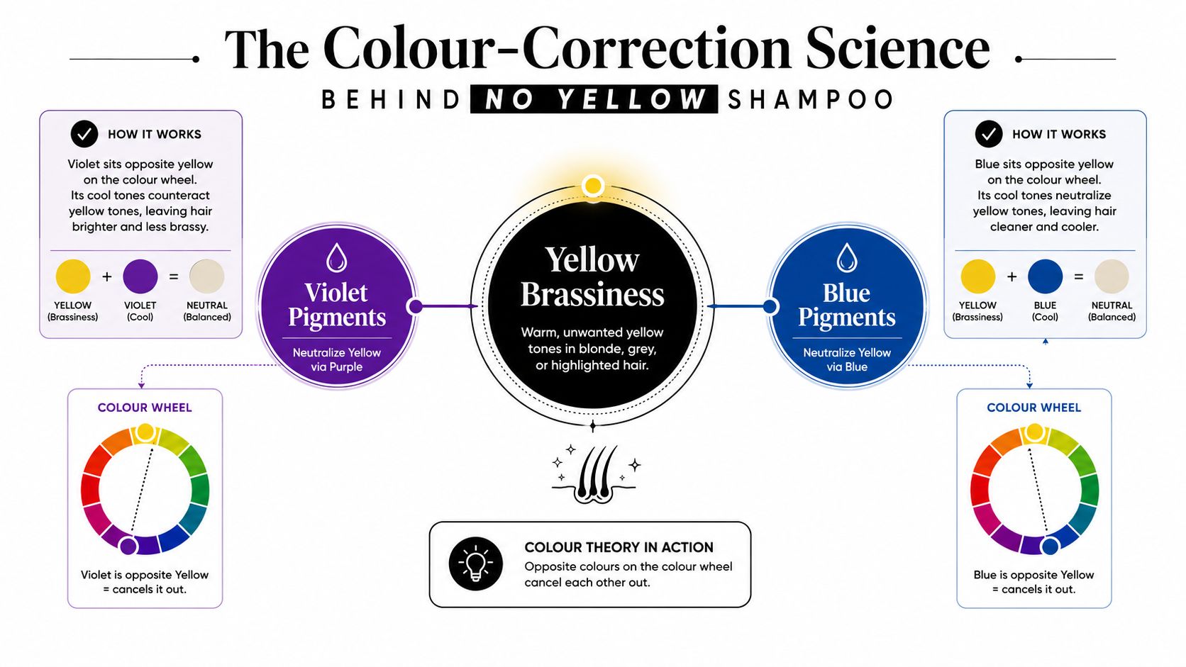 An infographic explaining how violet and blue pigments neutralize yellow brassiness in hair using color theory.